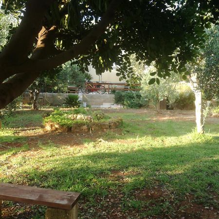 Ferienwohnung Aquilone Castelluzzo Exterior foto